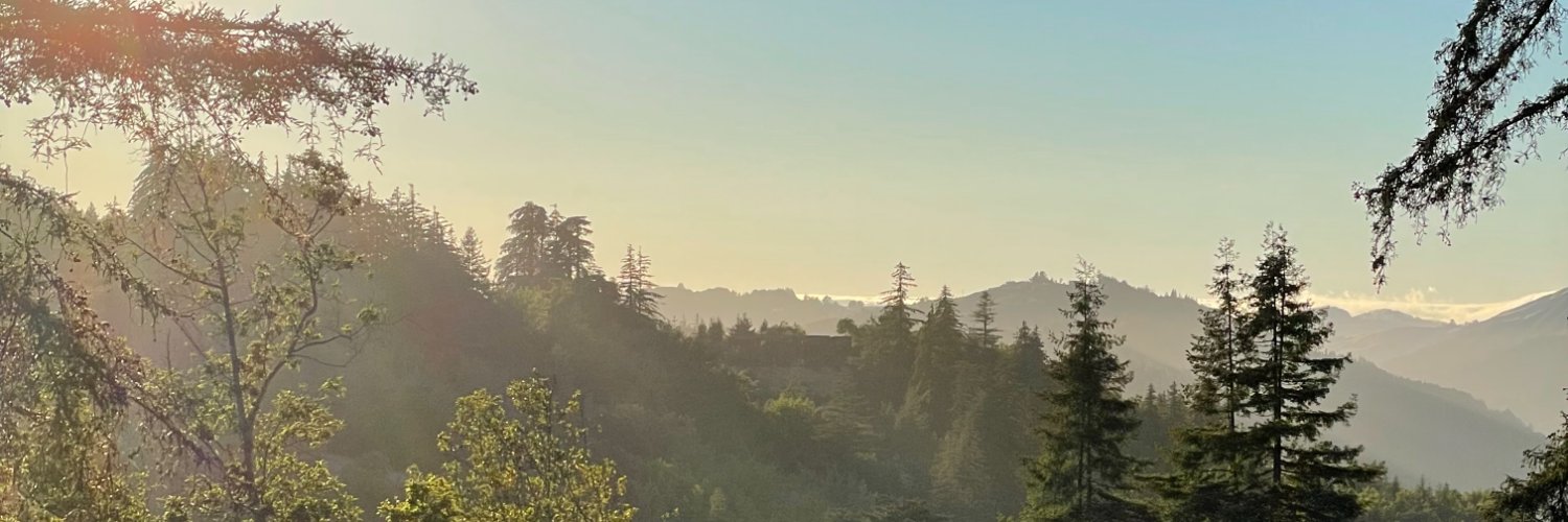 kevson's profile banner image