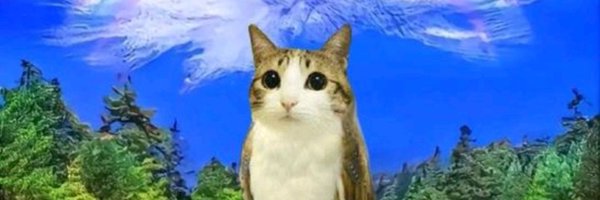 DatOrangeCat Profile Banner