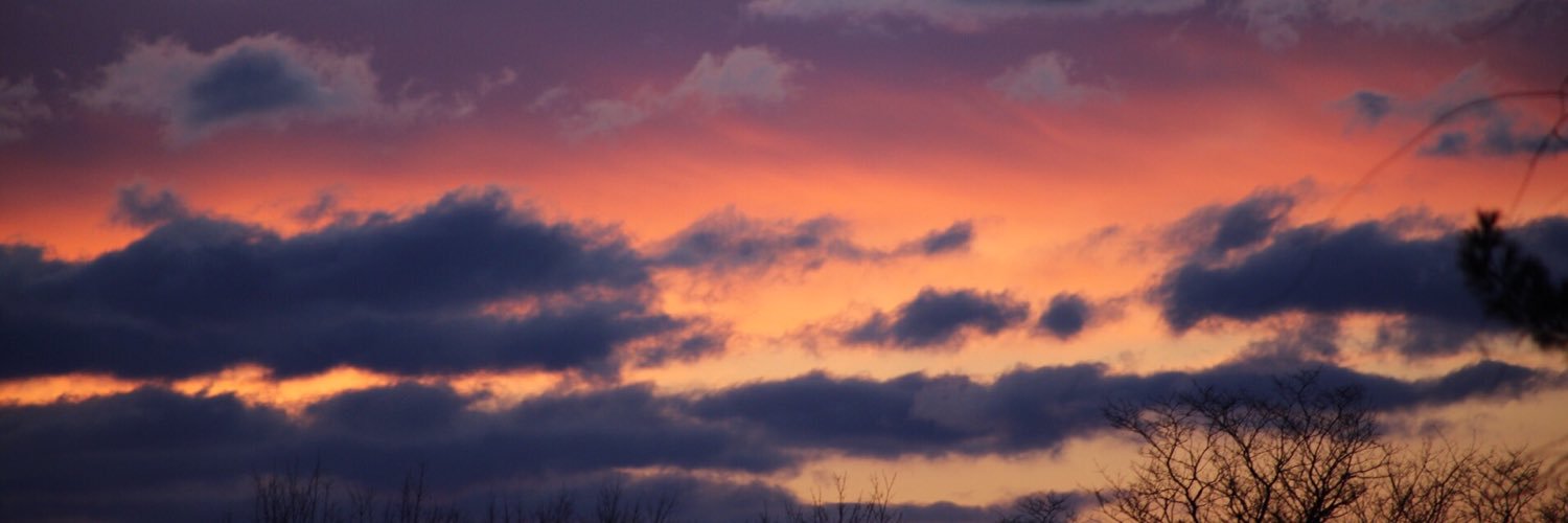 SteveSoy's profile banner image