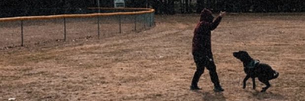 hahaElena's profile banner image