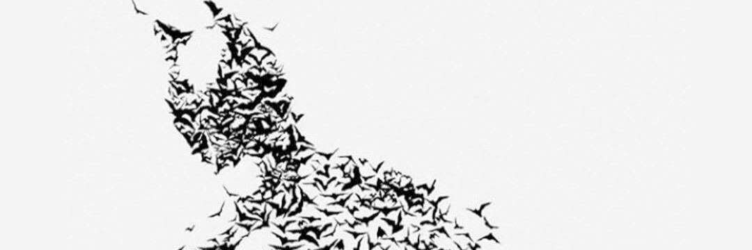 spideyshan's profile banner image