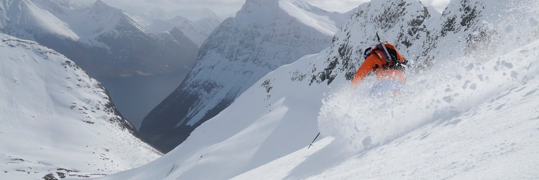 WarrenDaly's profile banner image