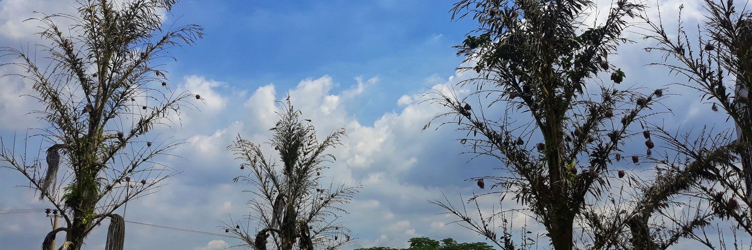 Agbor_Chick's profile banner image