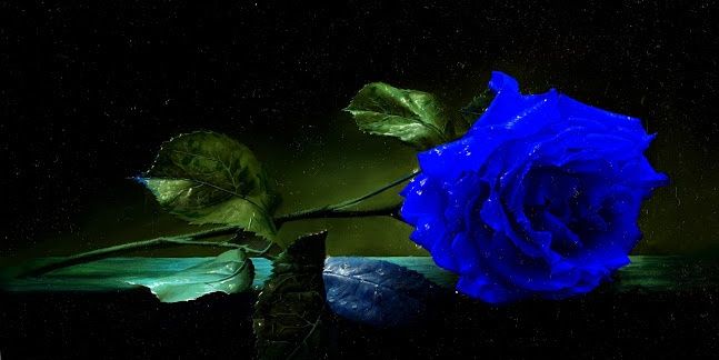 𝓩𝓸𝓮𝓒𝓱💘 banner