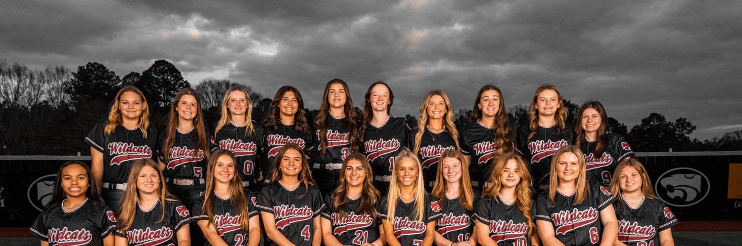 Ava Nehring 2025 banner