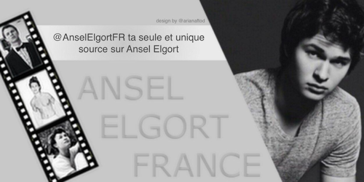 AnselElgortFR's profile banner image