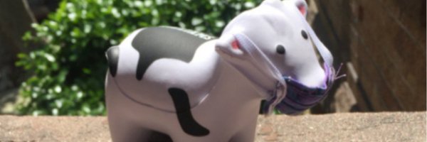 NigelJaffe Profile Banner