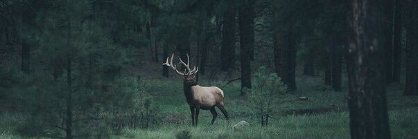 okxuzb's profile banner image