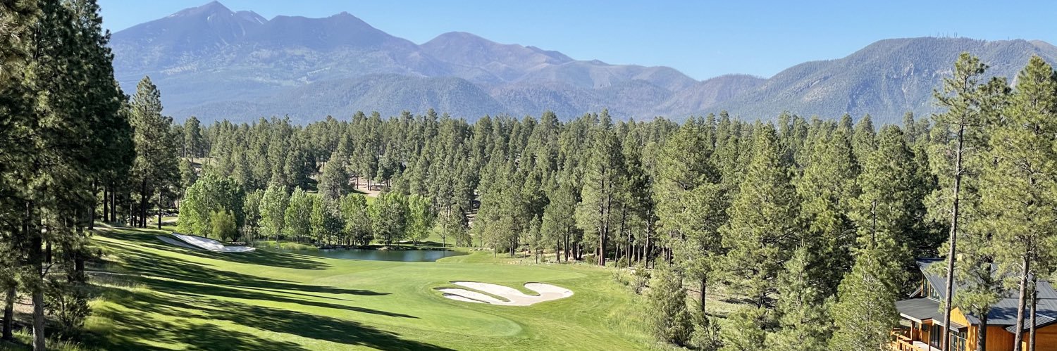 Blockchain Bull banner