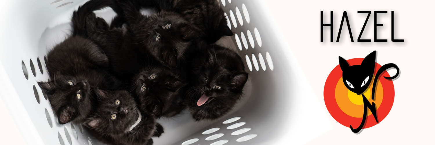 HAZEL Cardano Stakepool banner