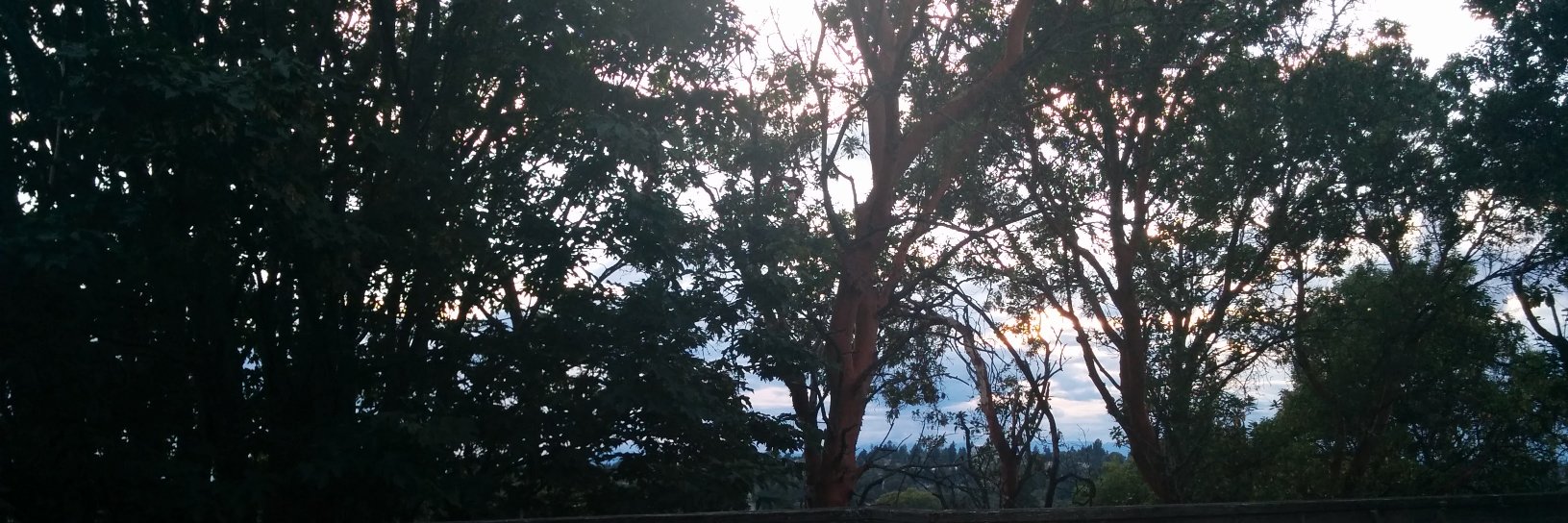 danreeve's profile banner image