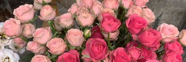 Chelili | jual doll banner