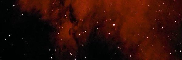 weirdgrownup Profile Banner