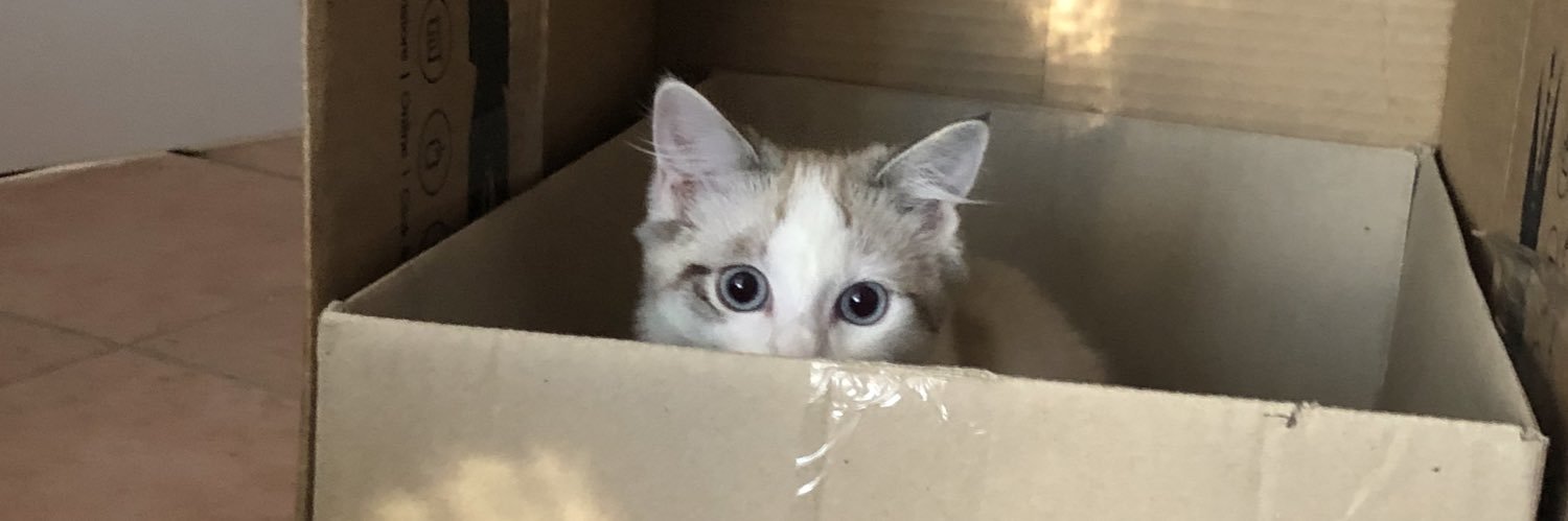 💗 MOCHI 💗 banner