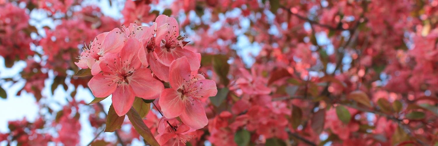 gttebykate's profile banner image