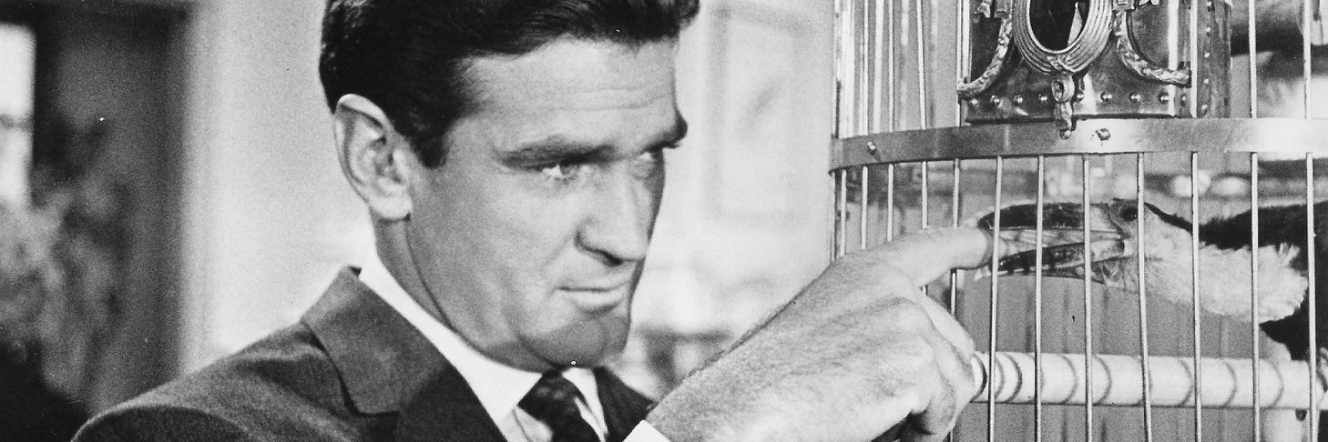 Diane's Rod Taylor Site banner