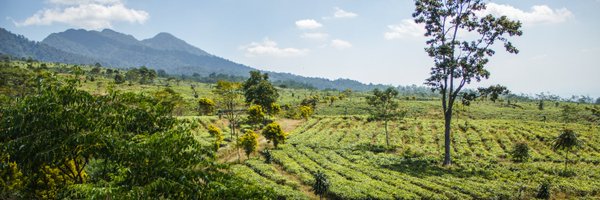 JivaAg Profile Banner