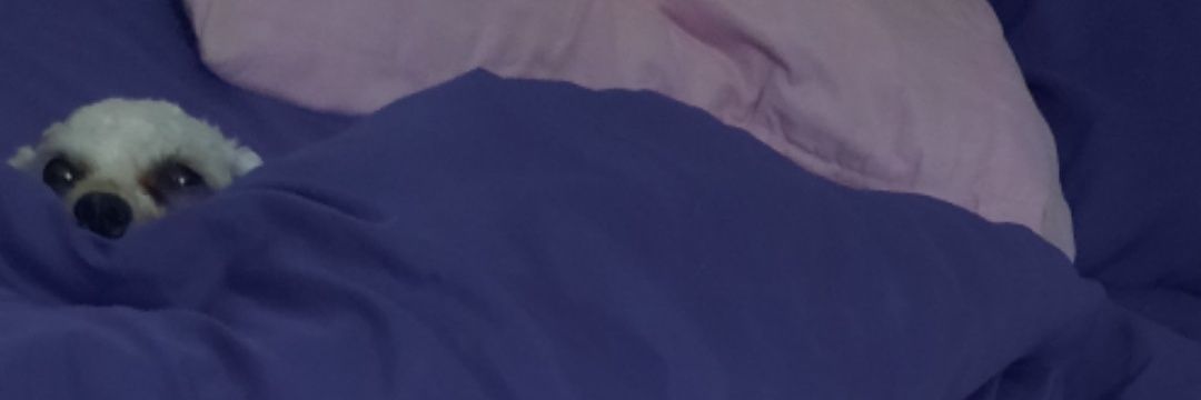 SoyJai__'s profile banner image