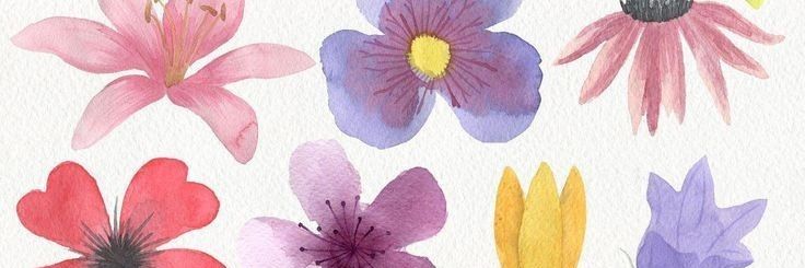 Montsee_Mosh's profile banner image