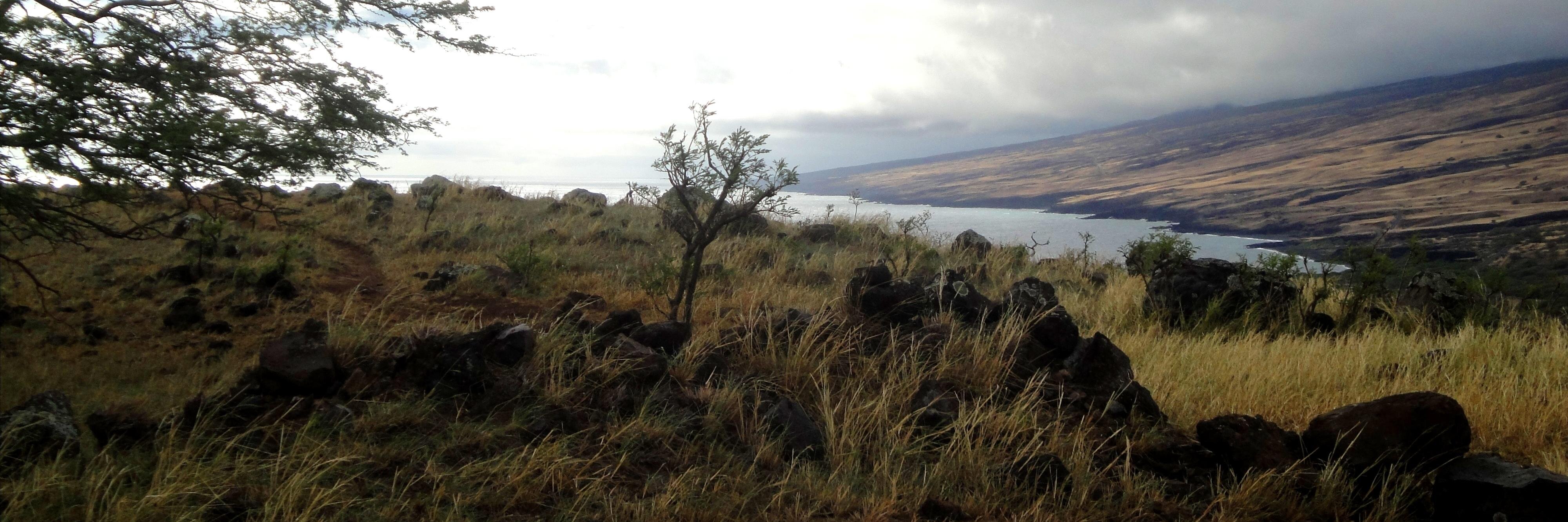 Tom Corsillo (on BlueSky) banner