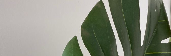 busecam_'s profile banner image