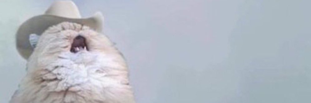 hannah_camp's profile banner image