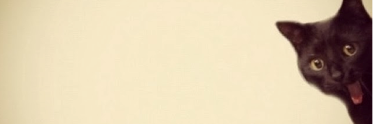 RousCastano's profile banner image