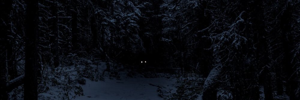 Josh is sitting beneath the Calypso Tree banner