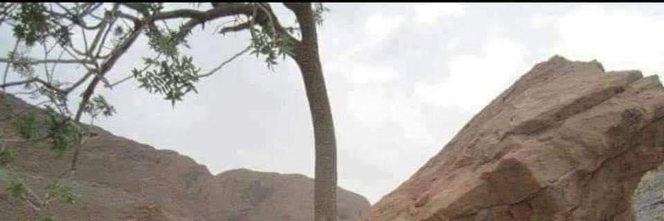 NmHajri's profile banner image