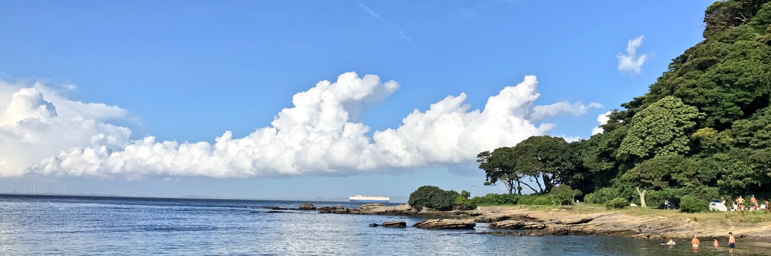 RS5_91's profile banner image