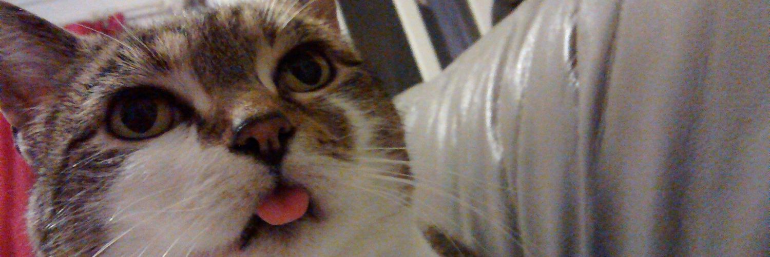 p_nut_uk's profile banner image