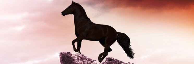 ibrahimceyLN's profile banner image