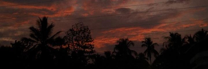 Ludmi0234's profile banner image