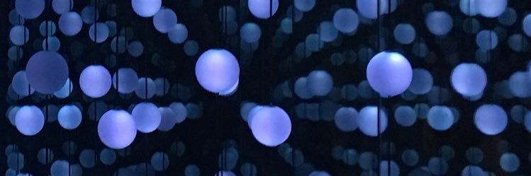 LindseyHary's profile banner image