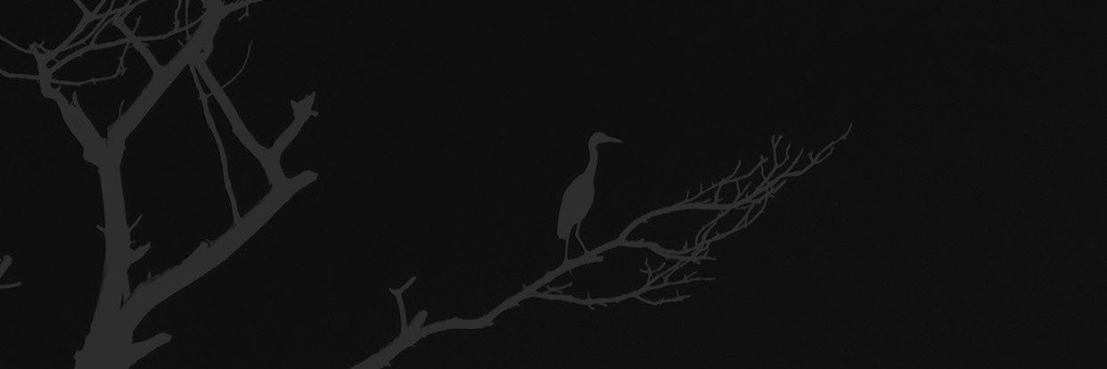 ItsKevinKelly's profile banner image