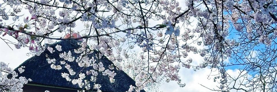 GNyaronga's profile banner image