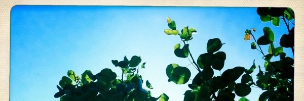 desireedr's profile banner image