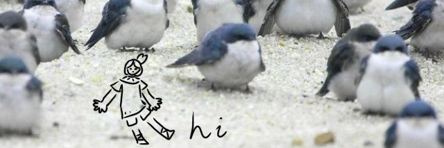 _birdwhisperer's profile banner image