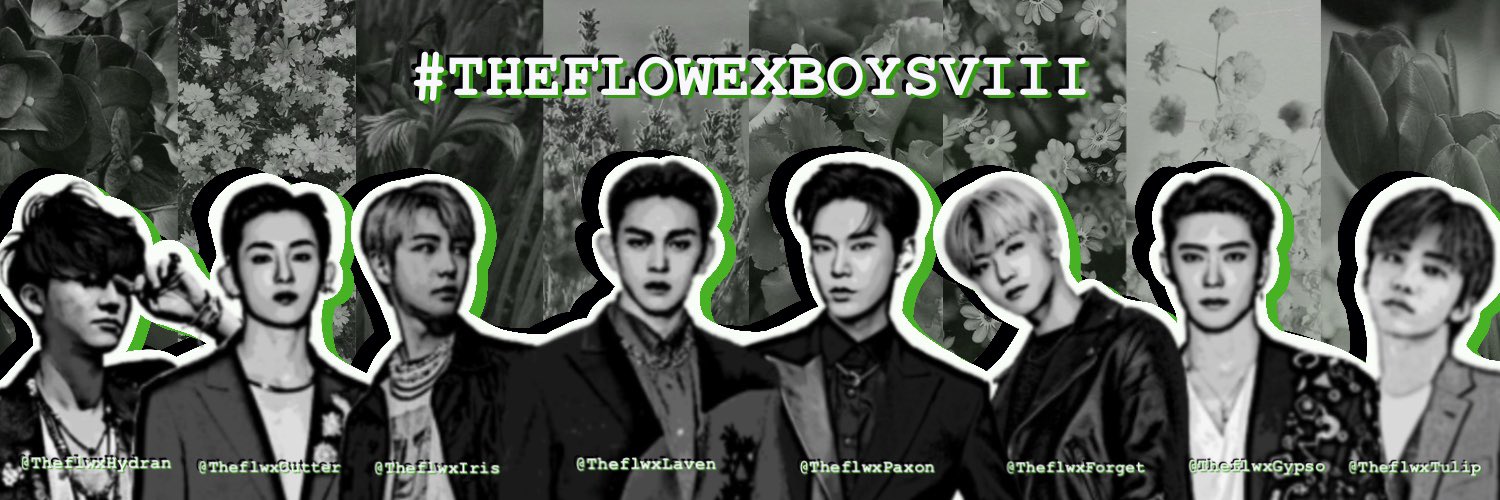 松林 banner