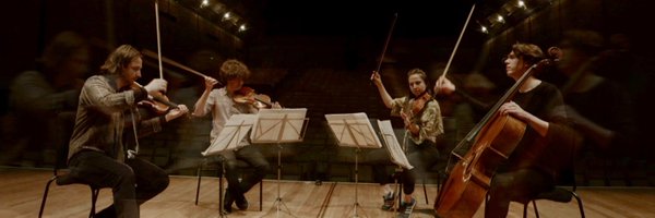 RuisiQuartet Profile Banner