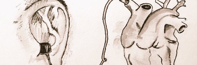 EilafAli's profile banner image