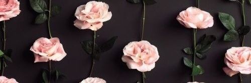 SandraaMartin21's profile banner image