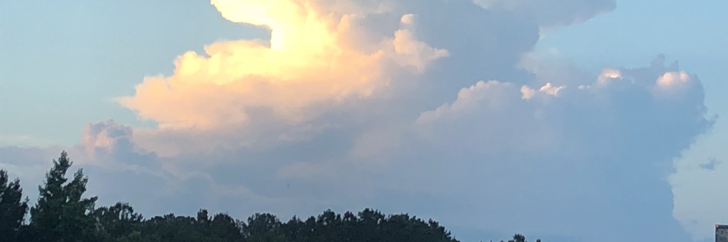 Marisela de Pizá banner