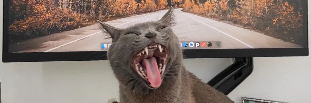IanWelerson's profile banner image