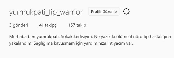 yumrukpati Profile Banner