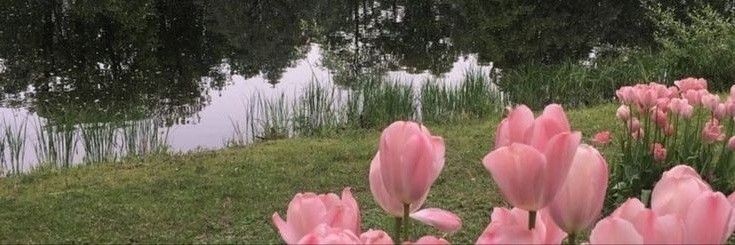 eunverss's profile banner image