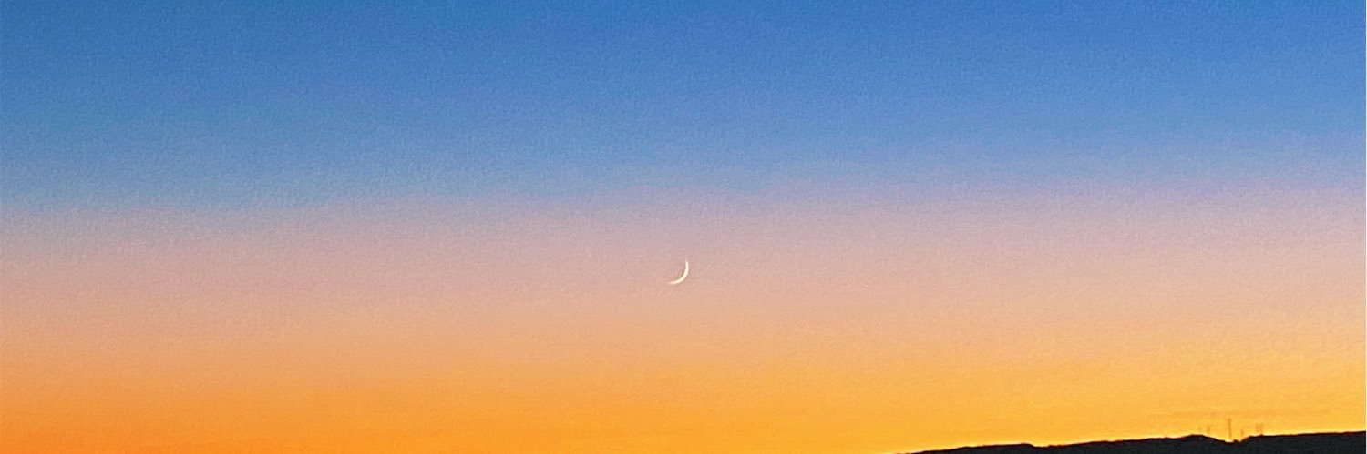 casey_mannix's profile banner image