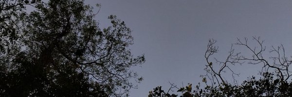 jairungoo Profile Banner