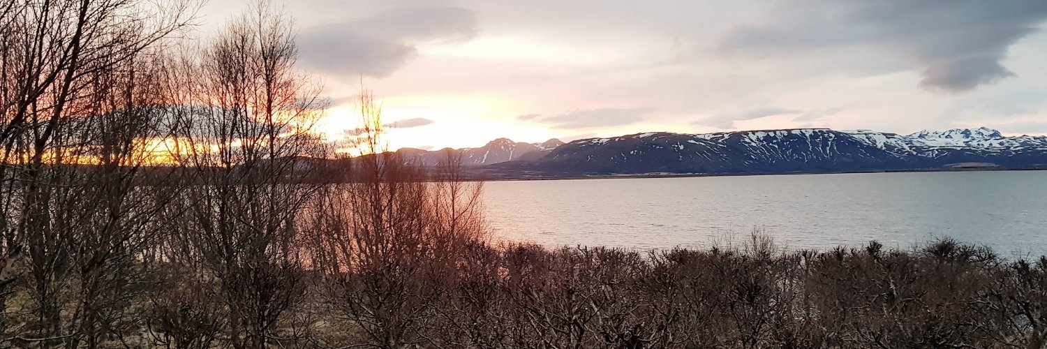StFS's profile banner image