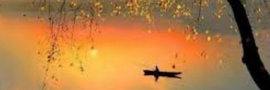 CLARA.. en reflexión 💜 banner